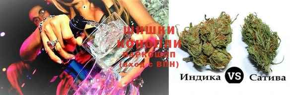крисы Бронницы