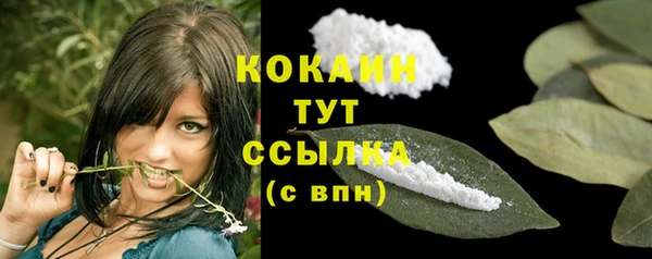гидра Белоозёрский
