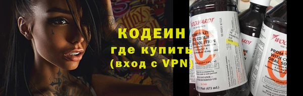 крисы Бронницы