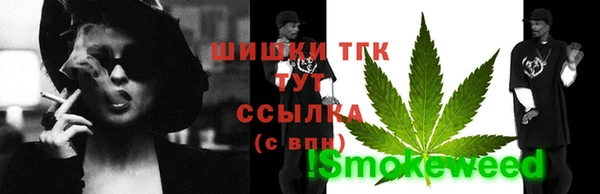 крисы Бронницы
