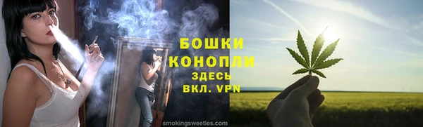 Альфа ПВП Бородино