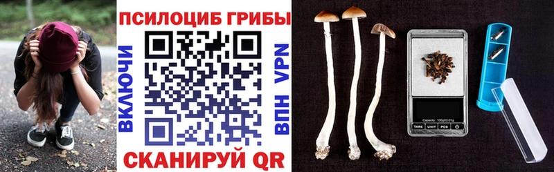 Галлюциногенные грибы мухоморы Вязьма